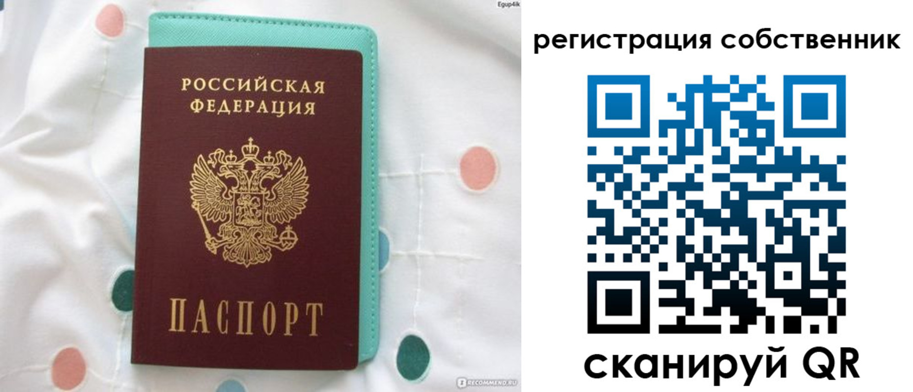 прописка для школы в Липецкая области